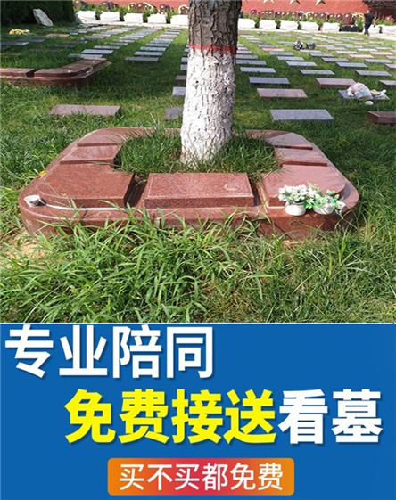 西安霸陵公墓：推动文明祭奠，倡导绿色殡葬新风