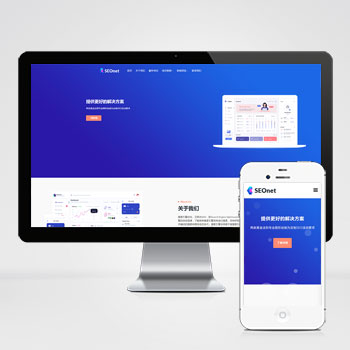 SEO优化网络公司网站