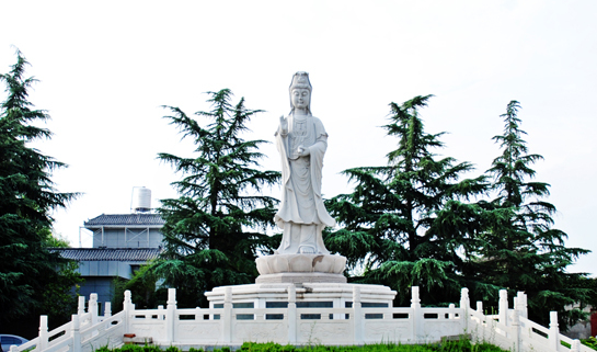 凤栖山墓园南区管理处,选购攻略全面解读!
