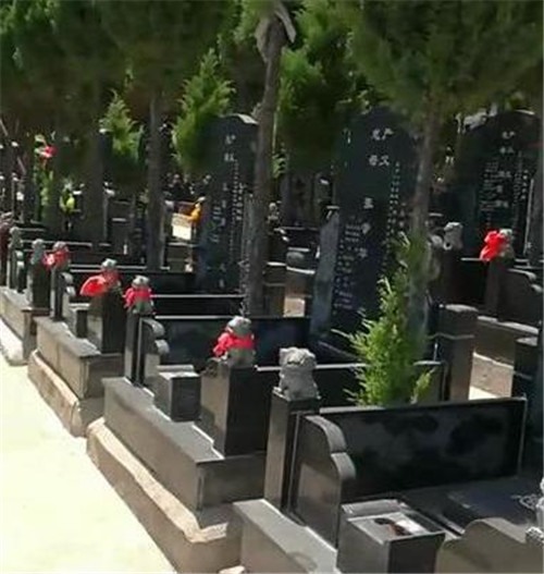 西安公墓真实视频图片（高桥墓园）