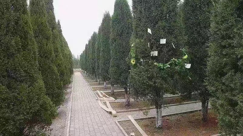 西安树葬墓园有几家,都在哪里