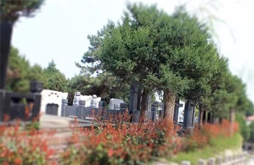 寿阳山公墓在西安的班车