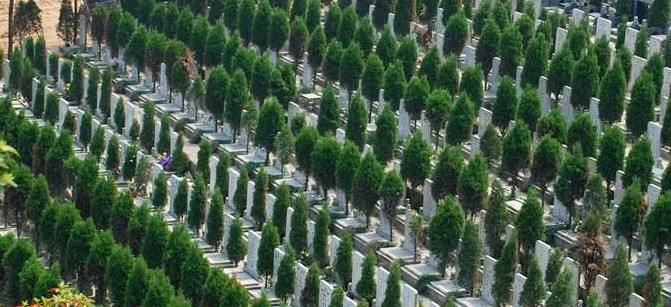 西安清明节墓地价格表最新，纪念逝者生命的旅程