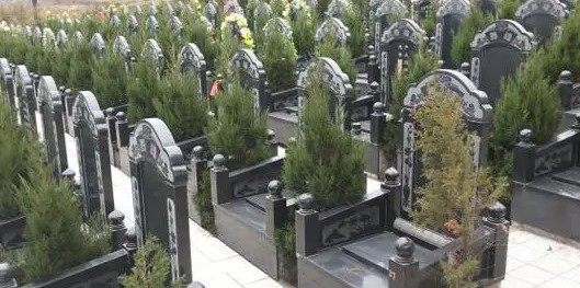 西安墓地能交易吗，安心护航至亲后一程