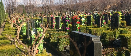 西安墓园周边公交车，墓园价格涨幅惊人