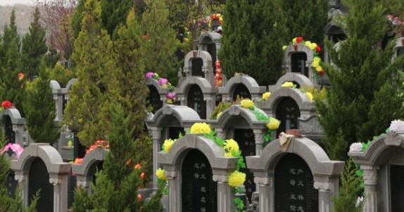 西安九龙山墓园公交车有哪些？