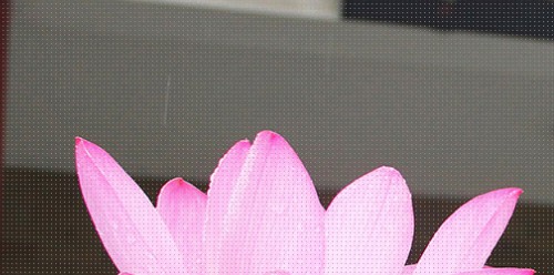 西安公墓价格高不高呢，公墓优惠活动来袭