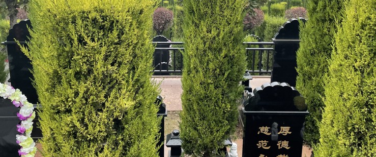 陕西西安墓园费用-陕西西安墓园费用是多少？