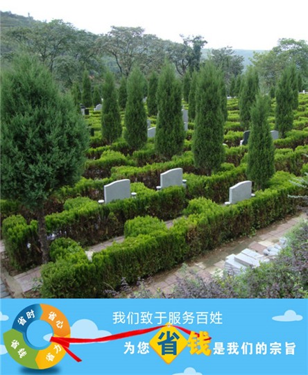 西安镐京墓园属于哪个区