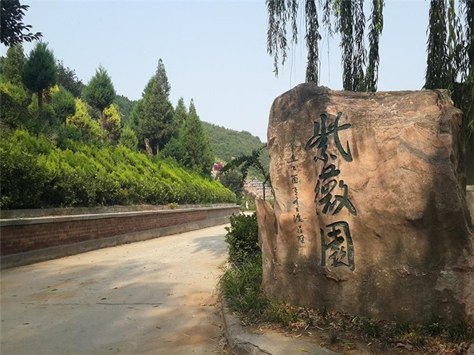 在选择公墓时，交通条件具体指什么？