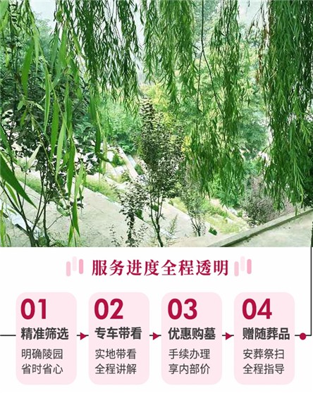 西安南郊的墓园